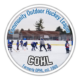 Community Outdoor Hockey League - Building Friendships and Skills Since 1969